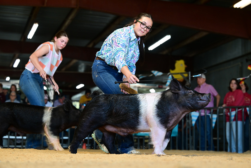 25GTT- RingAHamps-8604.jpg