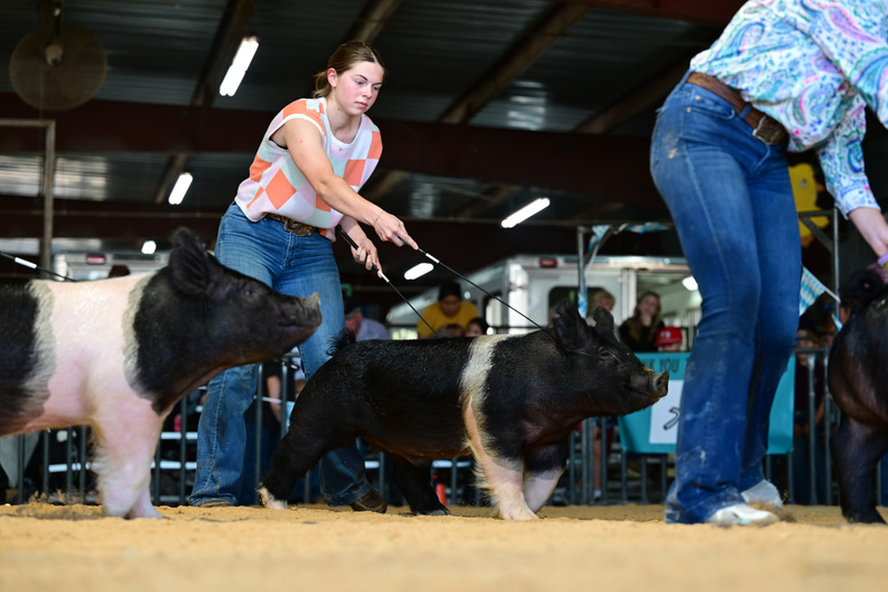 25GTT- RingAHamps-8605.jpg