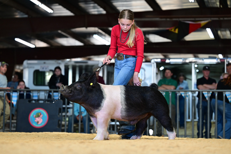 25GTT- RingAHamps-8608.jpg