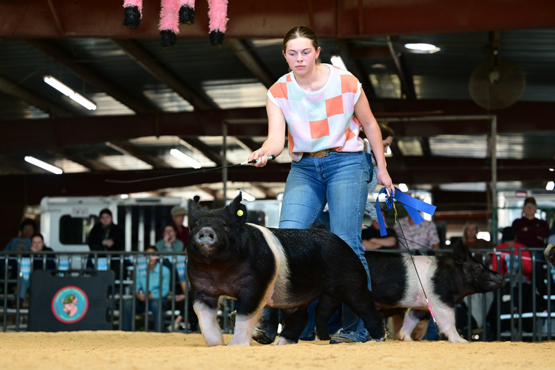 25GTT- RingAHamps-8609.jpg