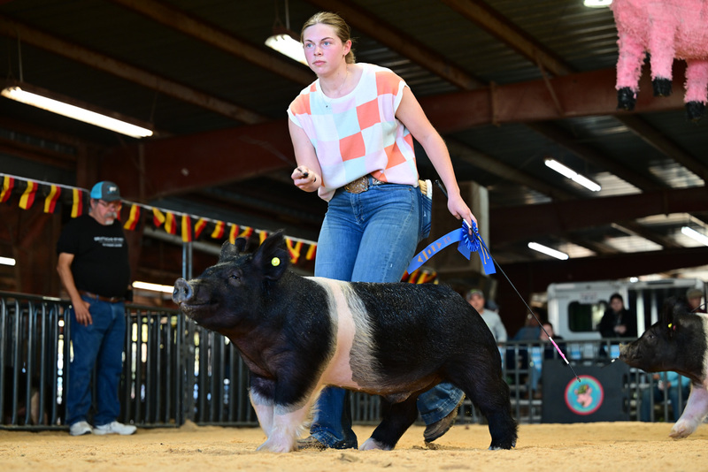 25GTT- RingAHamps-8612.jpg