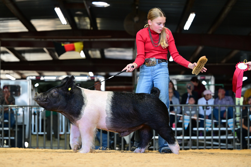 25GTT- RingAHamps-8613.jpg