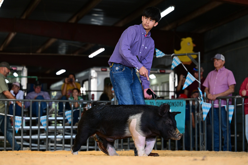 25GTT- RingAHamps-8614.jpg