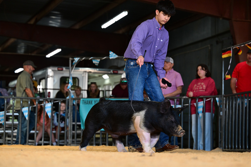 25GTT- RingAHamps-8615.jpg