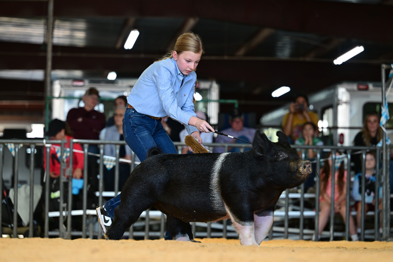 25GTT- RingAHamps-8616.jpg