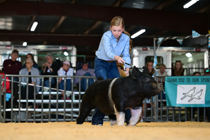 25GTT- RingAHamps-8617.jpg