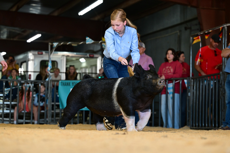 25GTT- RingAHamps-8619.jpg