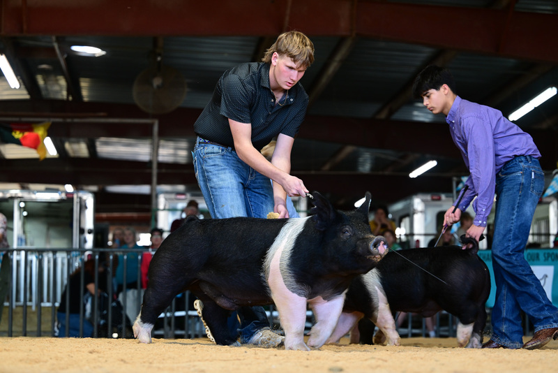 25GTT- RingAHamps-8620.jpg