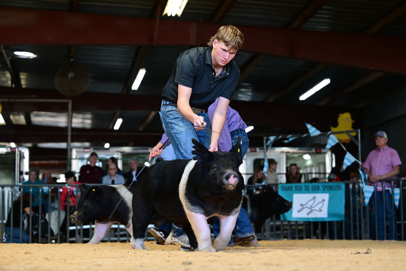 25GTT- RingAHamps-8621.jpg