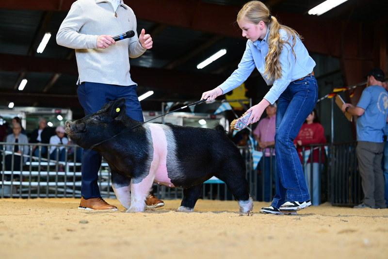 25GTT- RingAHamps-8624.jpg