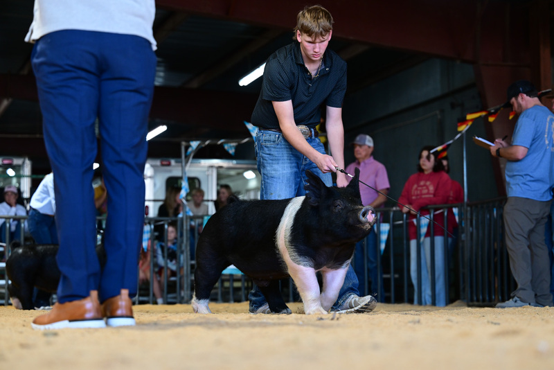 25GTT- RingAHamps-8625.jpg