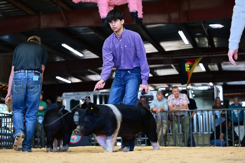 25GTT- RingAHamps-8626.jpg