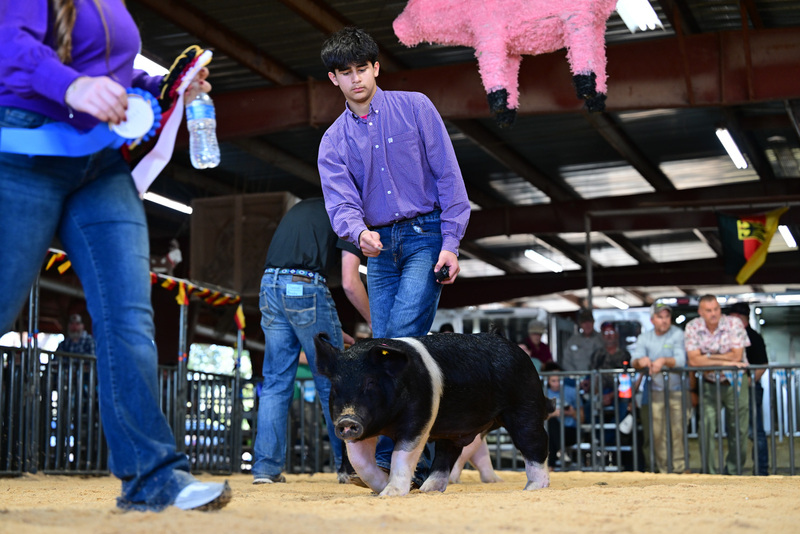 25GTT- RingAHamps-8627.jpg