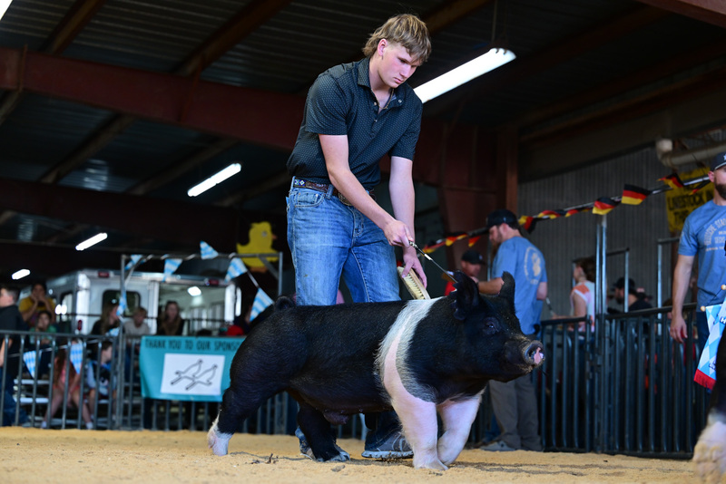 25GTT- RingAHamps-8628.jpg