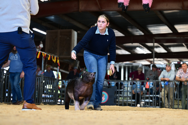 25GTT- RingAHamps-8629.jpg