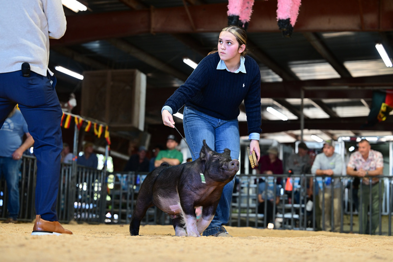 25GTT- RingAHamps-8630.jpg