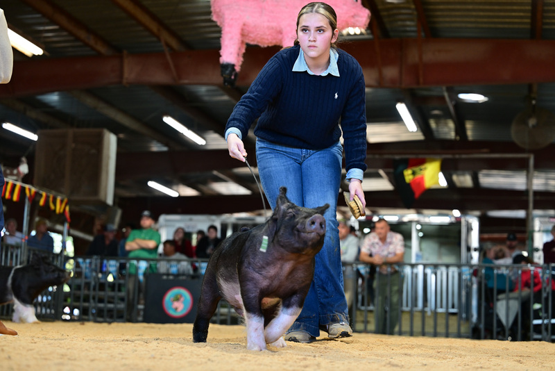 25GTT- RingAHamps-8632.jpg