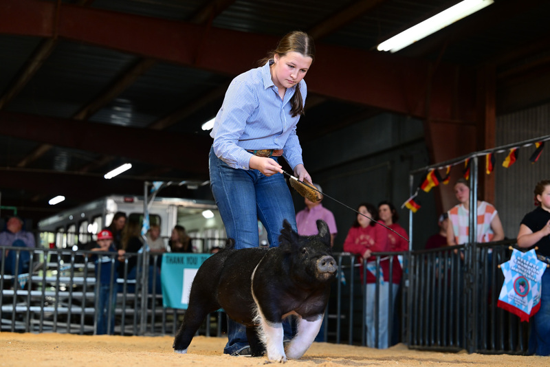 25GTT- RingAHamps-8633.jpg