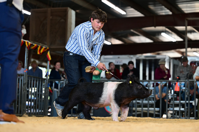 25GTT- RingAHamps-8635.jpg