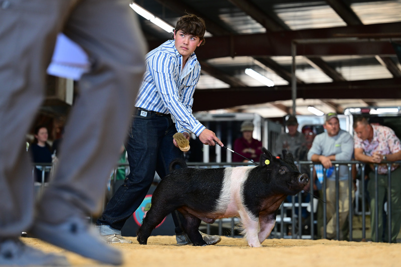 25GTT- RingAHamps-8636.jpg