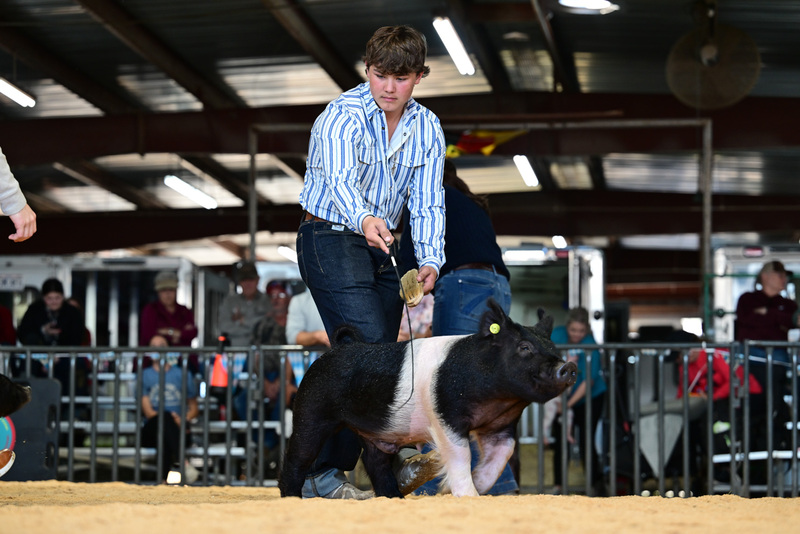 25GTT- RingAHamps-8637.jpg