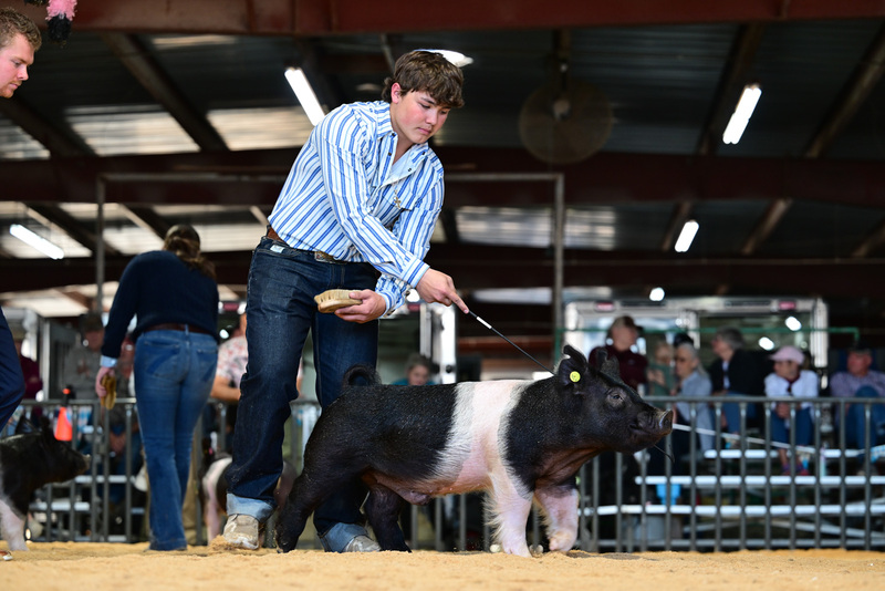 25GTT- RingAHamps-8638.jpg