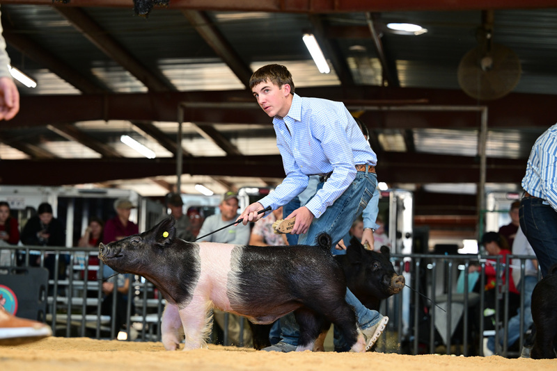 25GTT- RingAHamps-8643.jpg