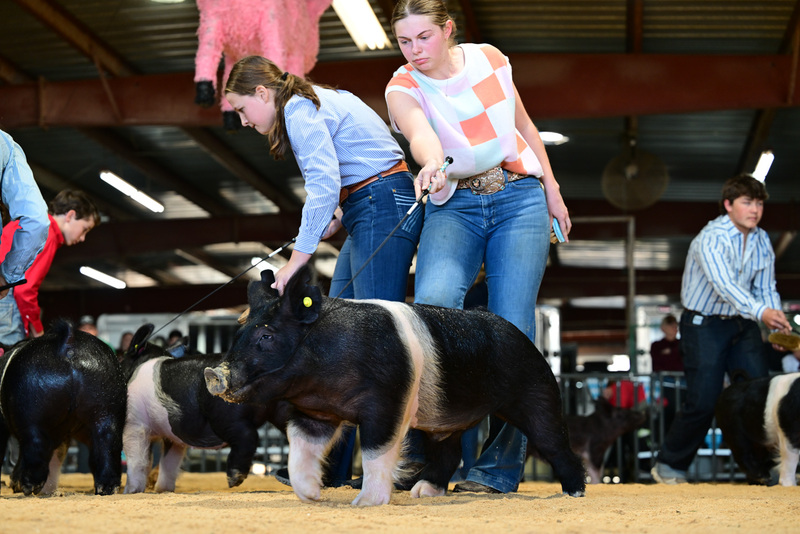 25GTT- RingAHamps-8644.jpg