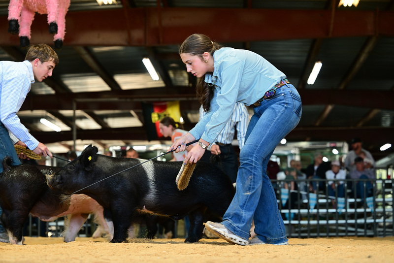 25GTT- RingAHamps-8645.jpg