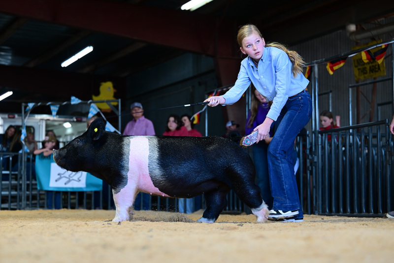 25GTT- RingAHamps-8646.jpg