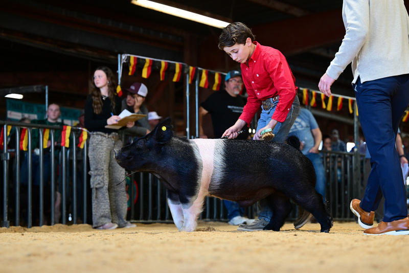 25GTT- RingAHamps-8647.jpg