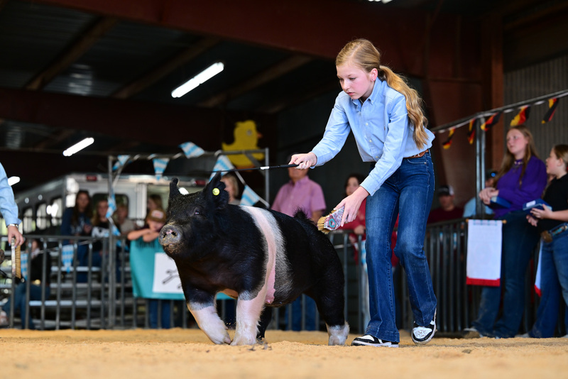 25GTT- RingAHamps-8648.jpg