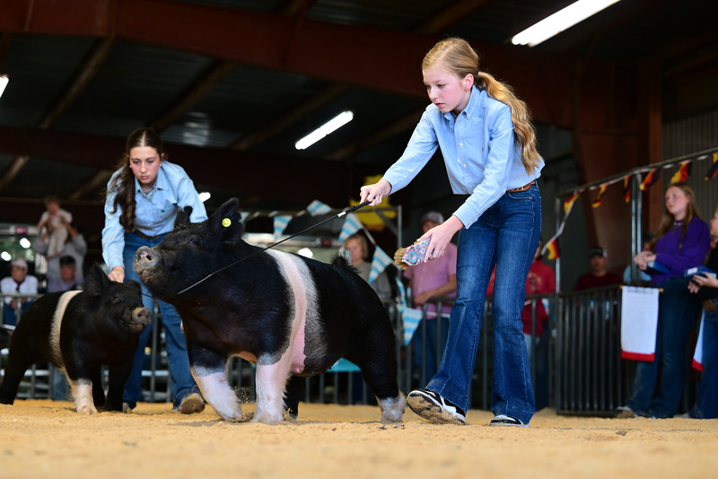 25GTT- RingAHamps-8649.jpg