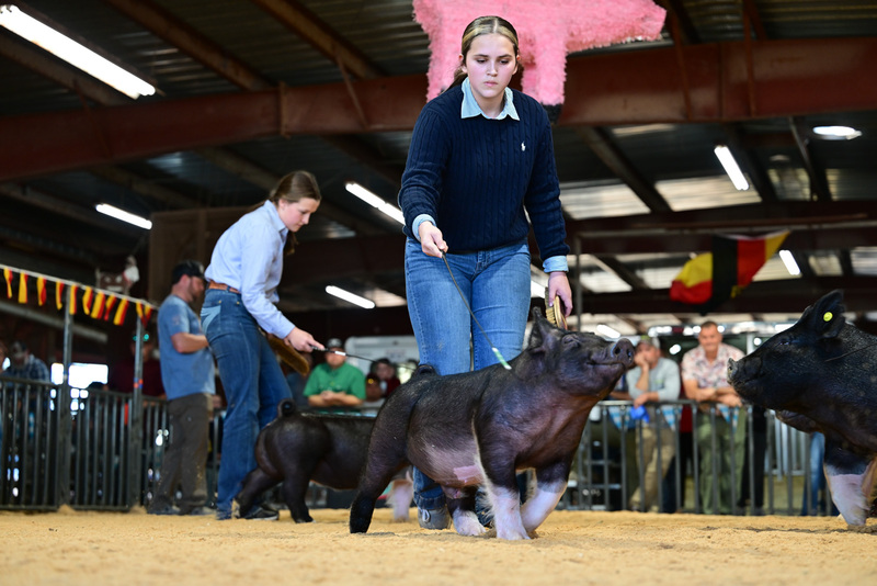 25GTT- RingAHamps-8652.jpg