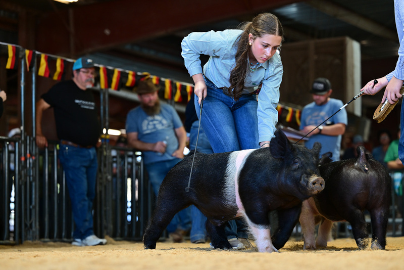 25GTT- RingAHamps-8653.jpg