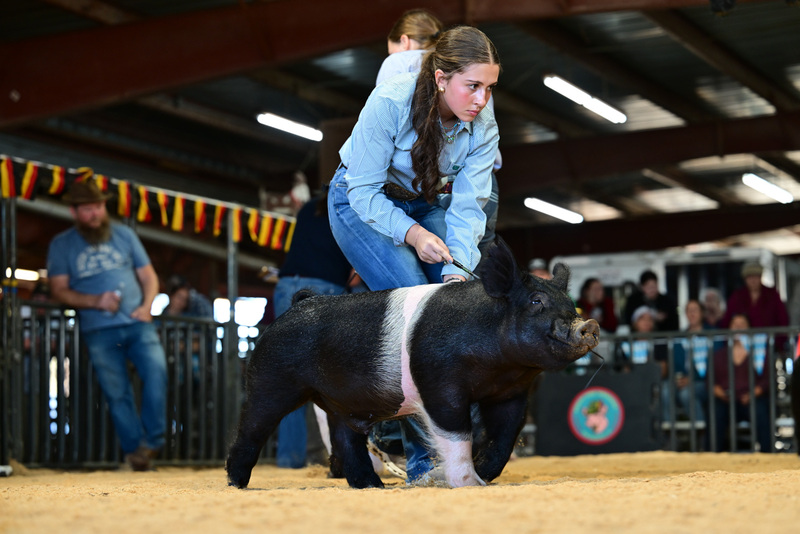 25GTT- RingAHamps-8654.jpg