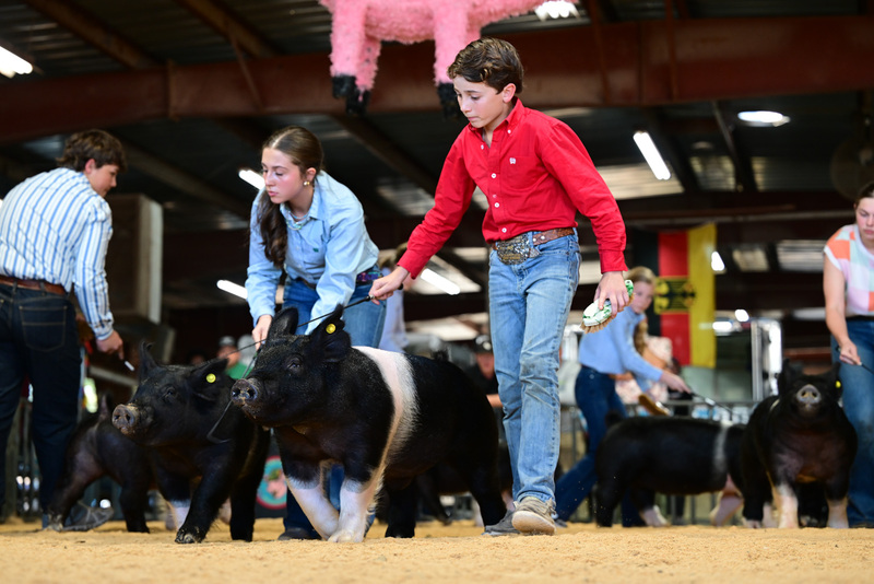 25GTT- RingAHamps-8656.jpg