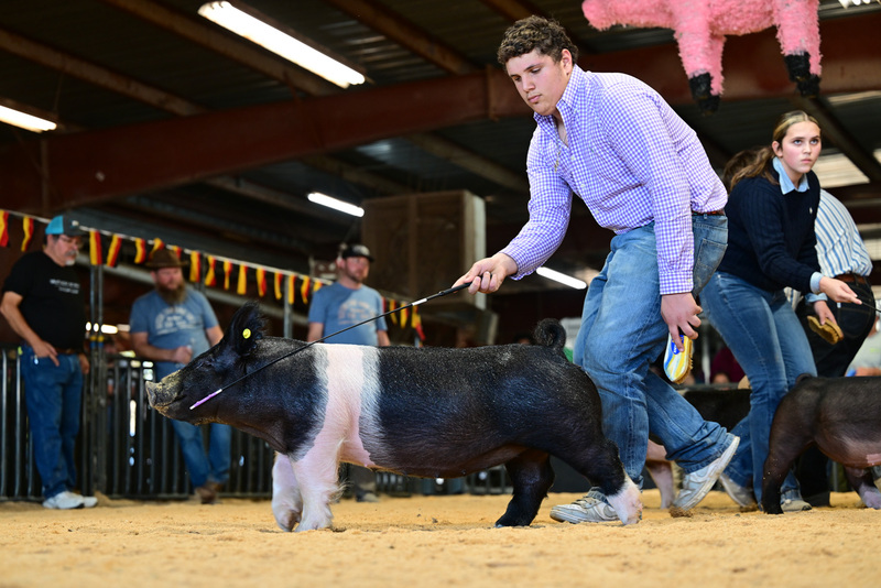 25GTT- RingAHamps-8662.jpg