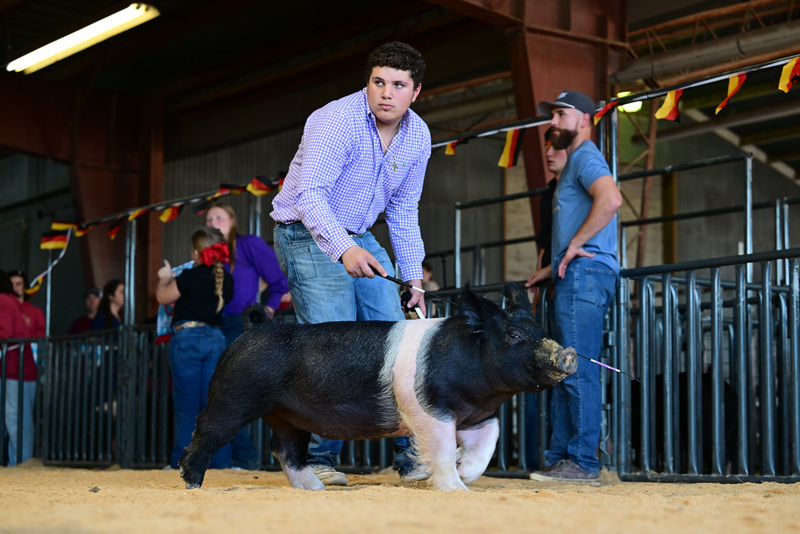 25GTT- RingAHamps-8663.jpg