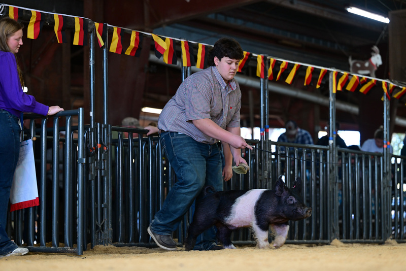 25GTT- RingAHamps-8665.jpg