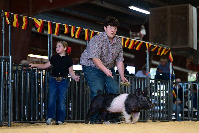 25GTT- RingAHamps-8666.jpg