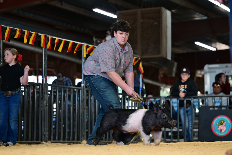 25GTT- RingAHamps-8667.jpg