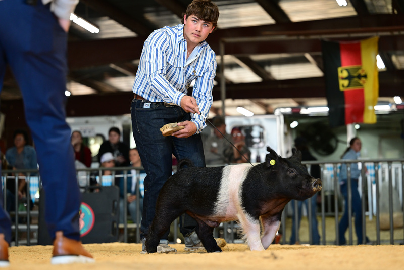 25GTT- RingAHamps-8672.jpg