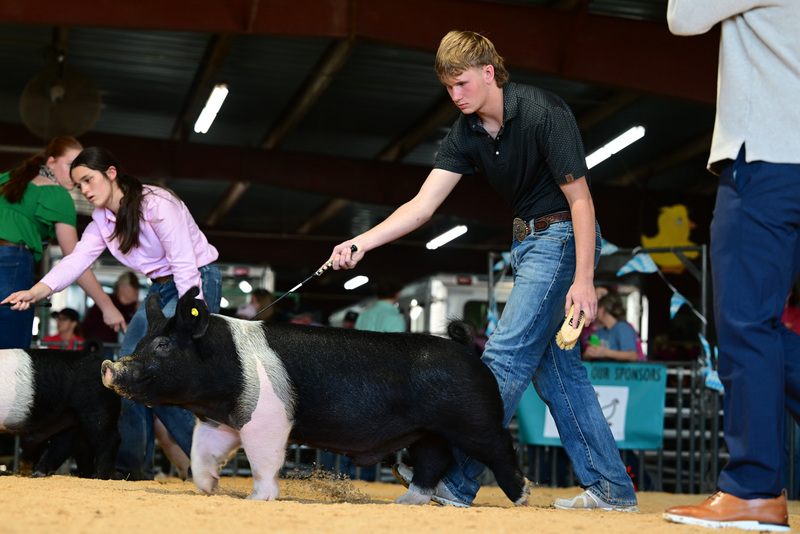 25GTT- RingAHamps-8676.jpg