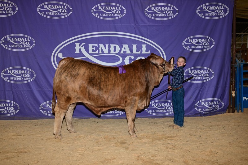 25KC-CattleBD-9786.jpg