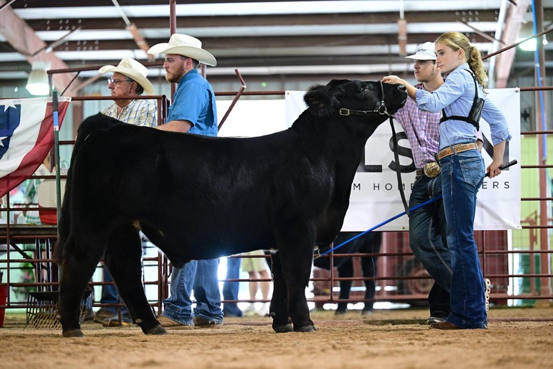 25RDC-BlackCross-9041.jpg