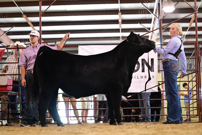 25RDC-BlackCross-9121.jpg