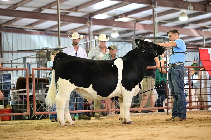 25RDC-BlackCross-9133.jpg