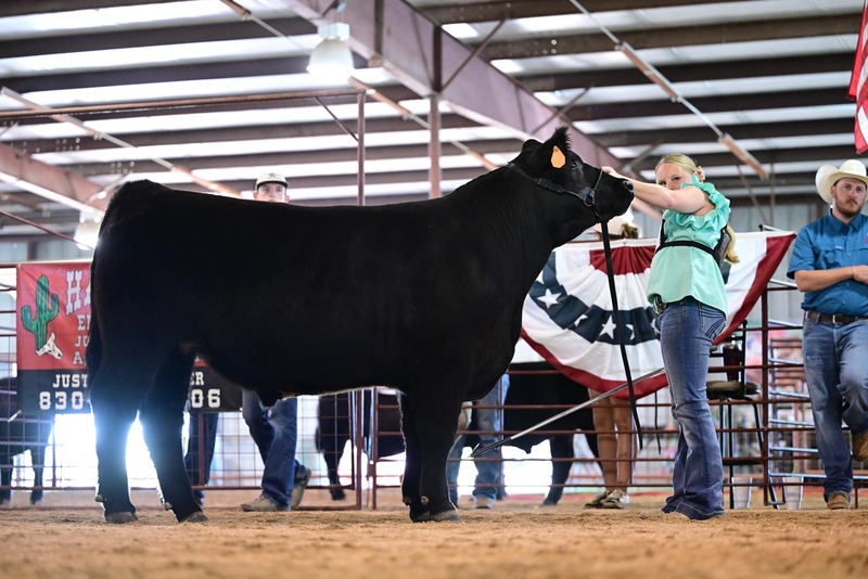 25RDC-BlackCross-9148.jpg