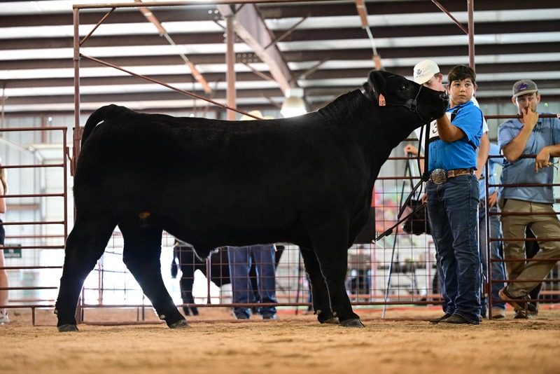 25RDC-BlackCross-9150.jpg
